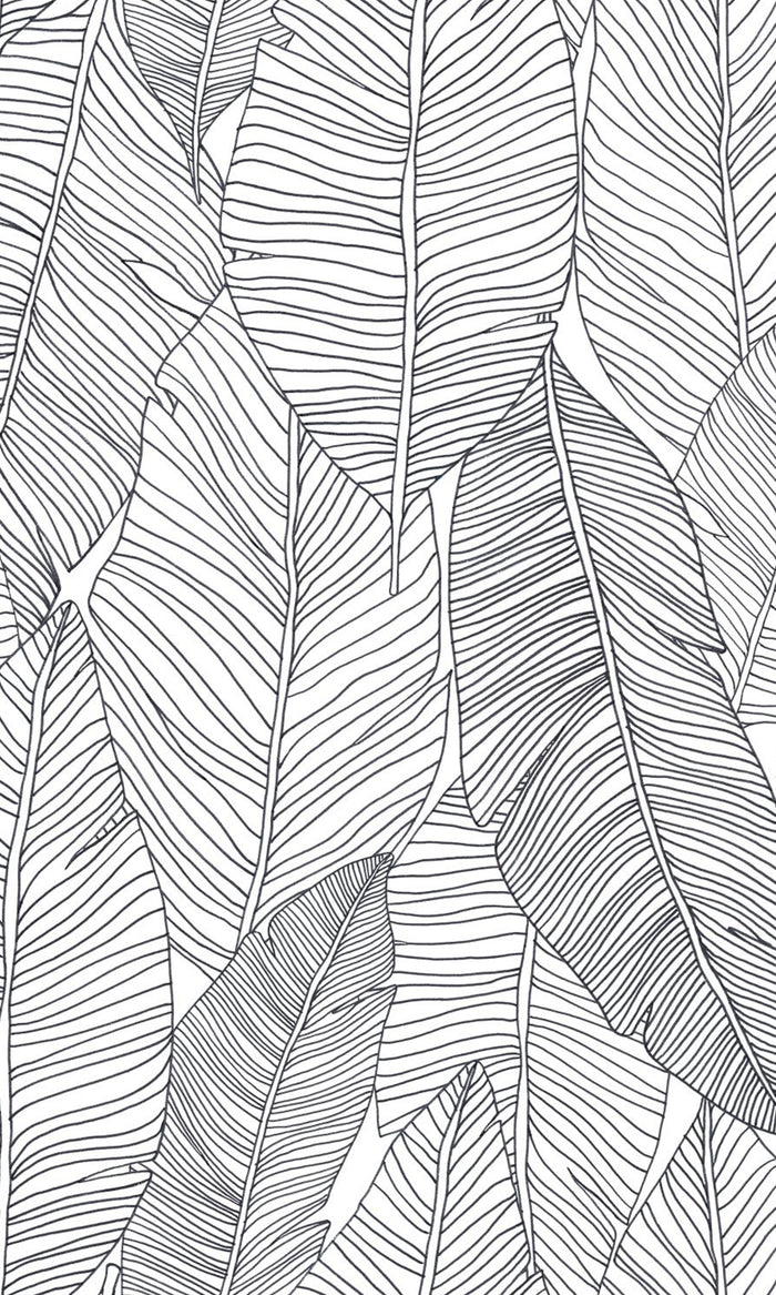 Black and White Pen Drawn Leaves Wallpaper R9418 – Walls Republic US
