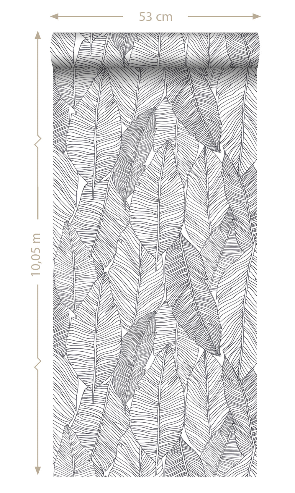 Black and White Pen Drawn Leaves Wallpaper, banana leaf backdrop, banana leaf wallpaper, banana leaf wallcovering, banana leaves wallpaper, banana leaf wallpaper for home, banana leaf background, banana leaves wallpaper walls, banana leaves wallpaper for walls, banana leaves wallpaper
