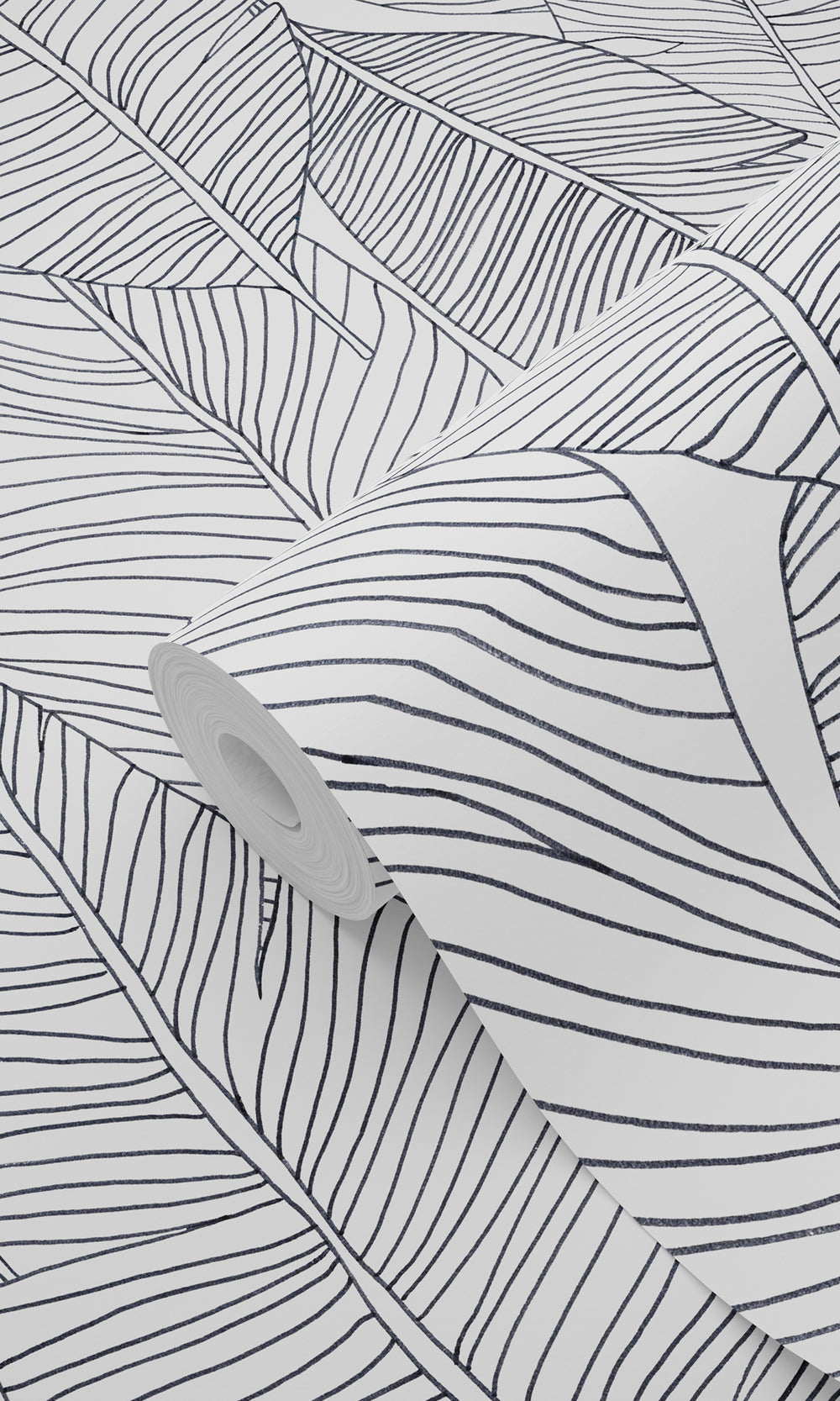 Black and White Pen Drawn Leaves Wallpaper, banana leaf backdrop, banana leaf wallpaper, banana leaf wallcovering, banana leaves wallpaper, banana leaf wallpaper for home, banana leaf background, banana leaves wallpaper walls, banana leaves wallpaper for walls, banana leaves wallpaper
