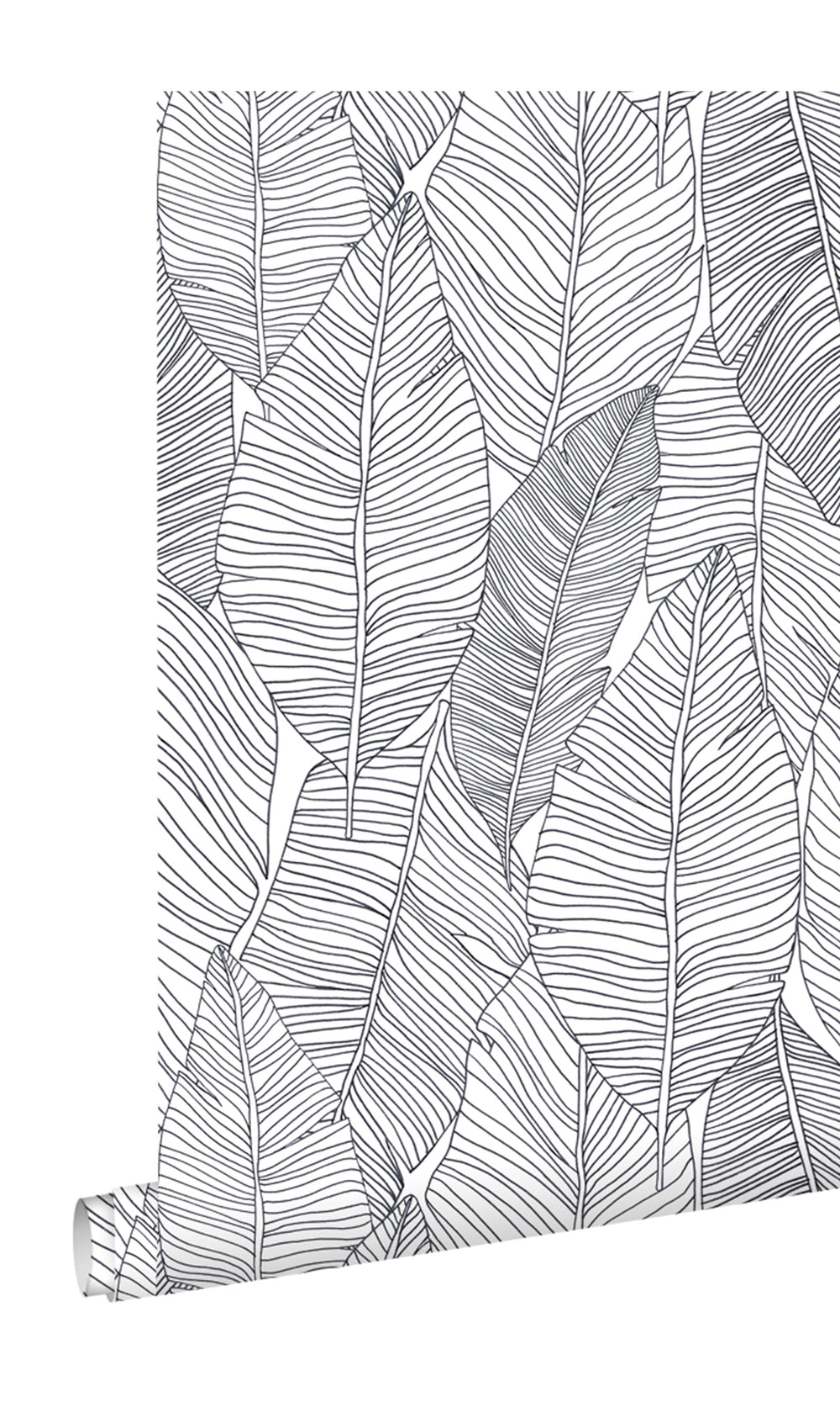 Black and White Pen Drawn Leaves Wallpaper, banana leaf backdrop, banana leaf wallpaper, banana leaf wallcovering, banana leaves wallpaper, banana leaf wallpaper for home, banana leaf background, banana leaves wallpaper walls, banana leaves wallpaper for walls, banana leaves wallpaper
