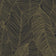 Black and Gold (this color)