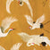 Ochre