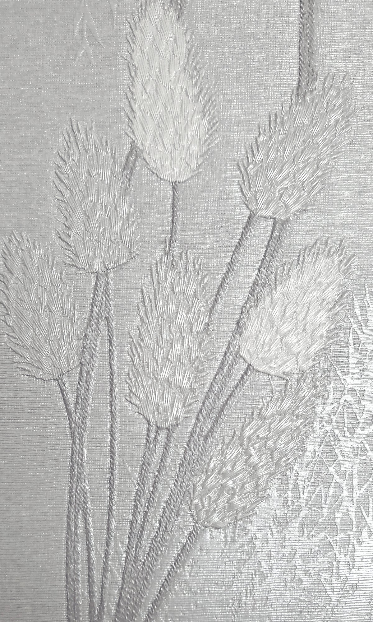 grey wallpaper, bunny tails wallpaper, pampas grass wallpaper, botanical wallpaper, Timeless elegance, Eleganza Wallpaper Collection, Eleganza Collection, Can be used for commercial spaces, Paper Substrate, New Arrivals, Paste the Paper, Scrubbable, Good Lightfastness, Peelable, Interior designers’ choice, Bedroom Wallpaper, Living Room Wallpaper, Hallway Wallpaper, Dining Room Wallpaper, Children's Room Wallpaper, Study Room Wallpaper, Home Office Wallpaper, Powder Room Wallpaper, Foyer Wallpaper