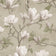 Beige Pink (this color)