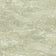 Sage (this color)