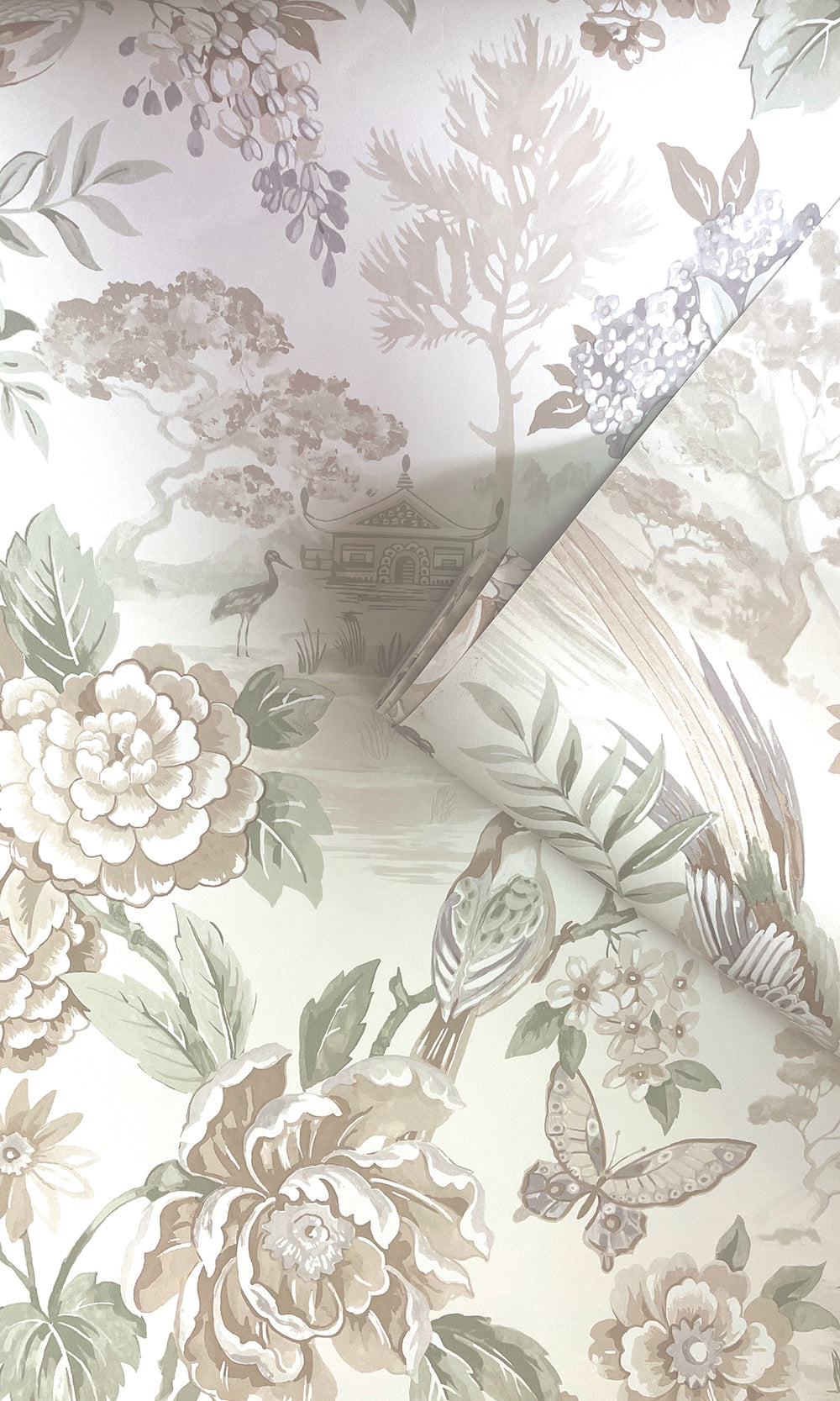Cream Tranquil Blossoming Flowers in Nature Wallpaper R9610