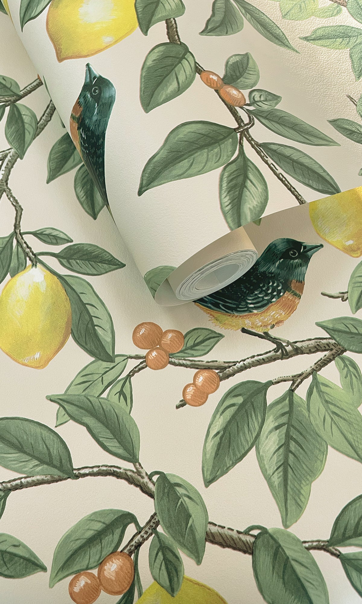 Cream Orange Golden Lemon Trail Wallpaper R9632 – Walls Republic US