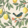 Cream Orange (this color)