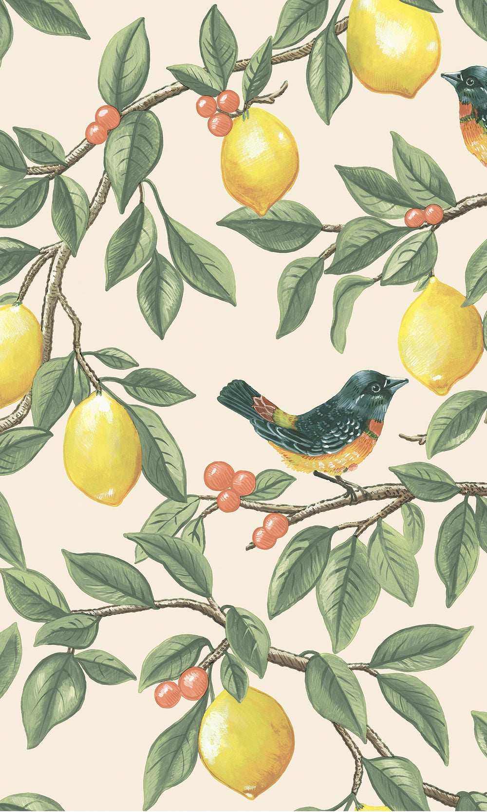 Cream Orange Golden Lemon Trail Wallpaper R9632