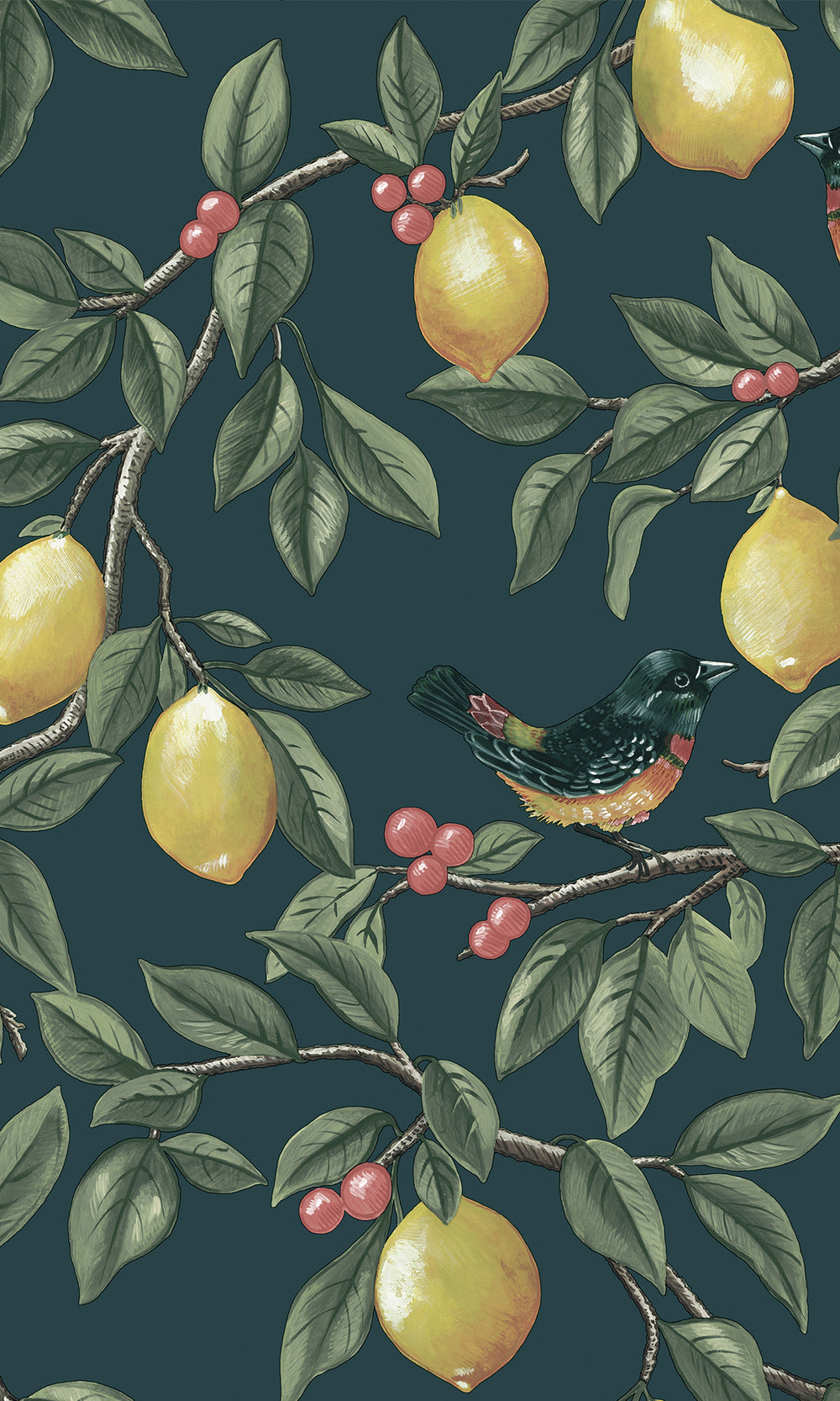 Teal Golden Lemon Trail Wallpaper R9633