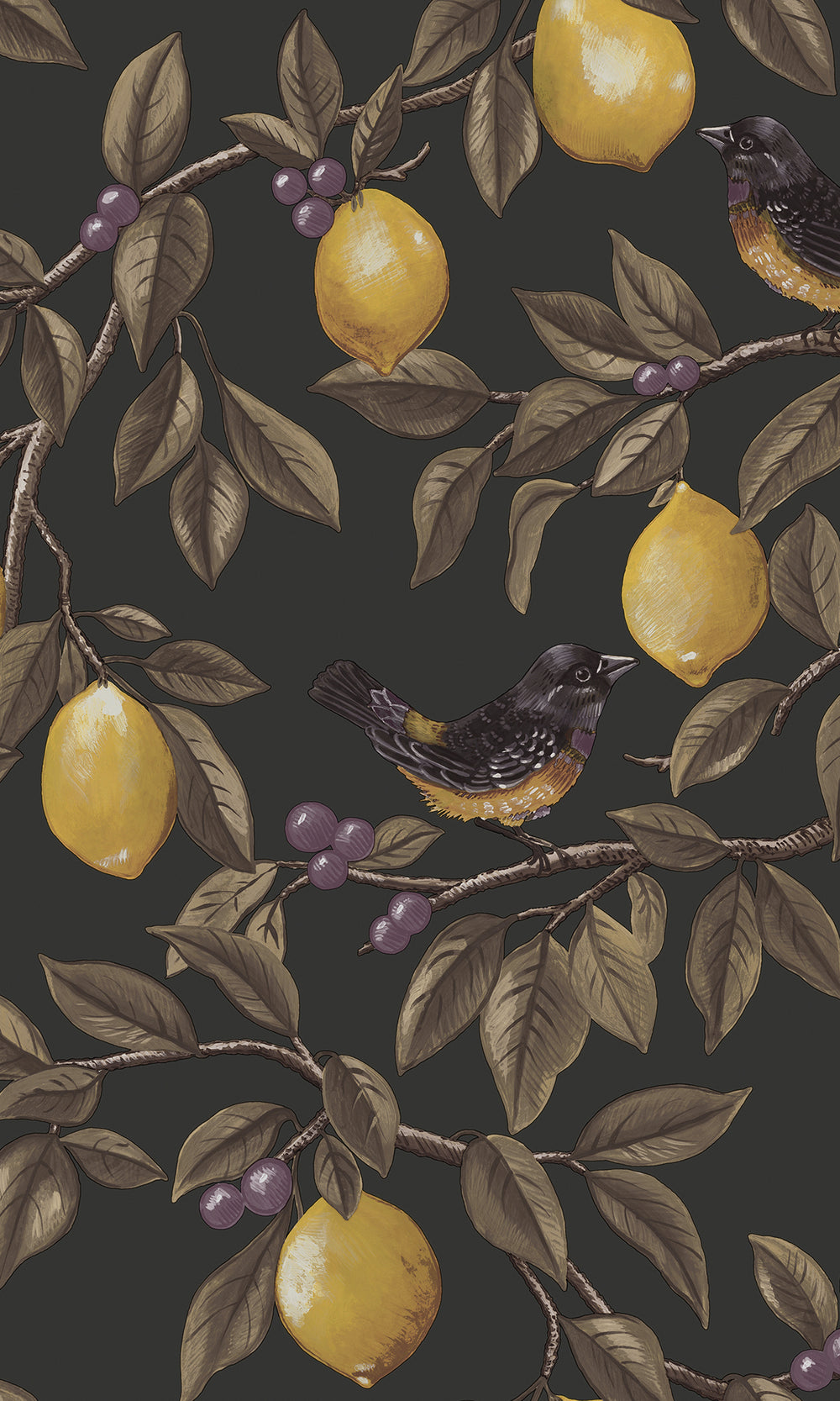 Charcoal Golden Lemon Trail Wallpaper R9634