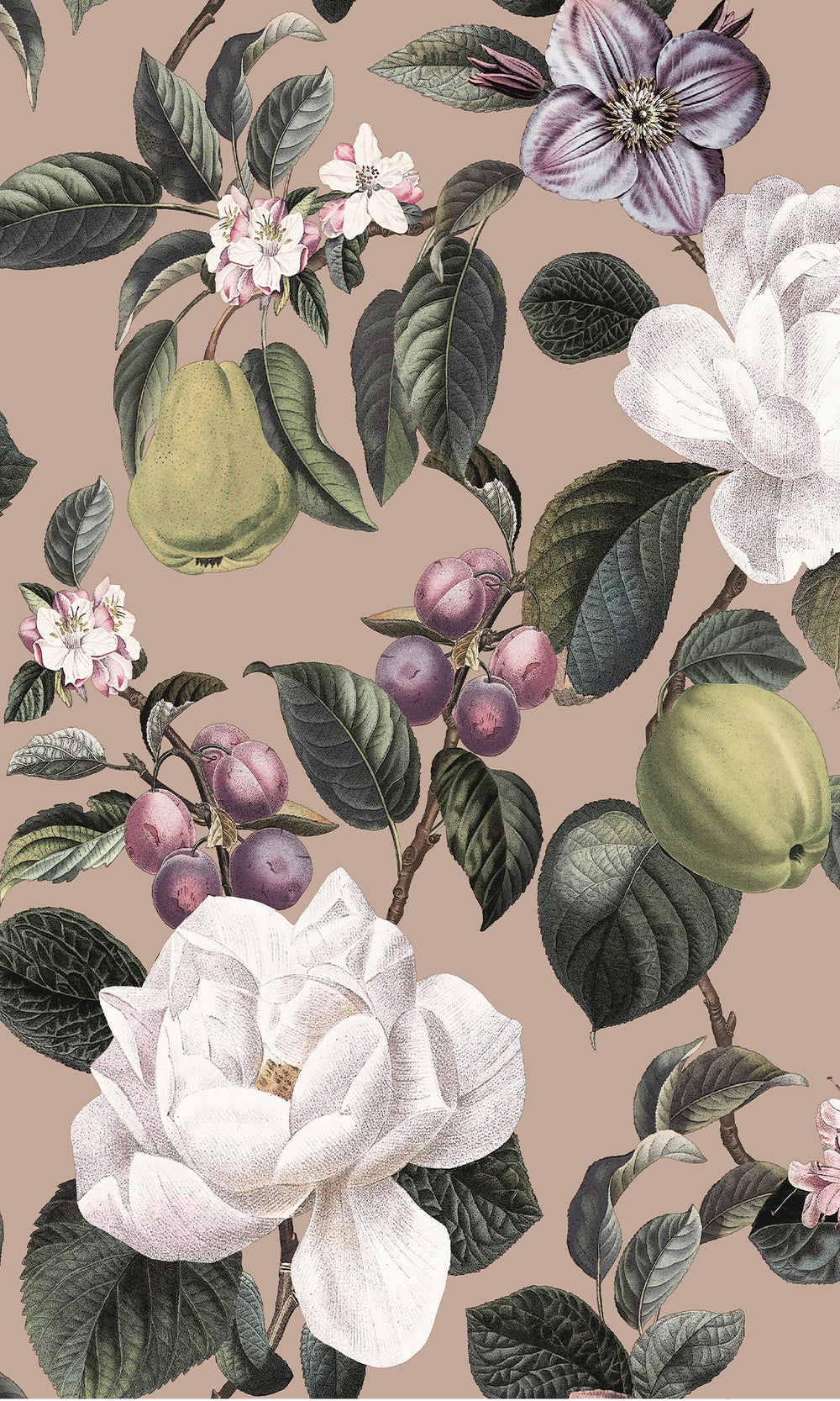 Plaster Pear & Blossom Elegance Wallpaper R9640