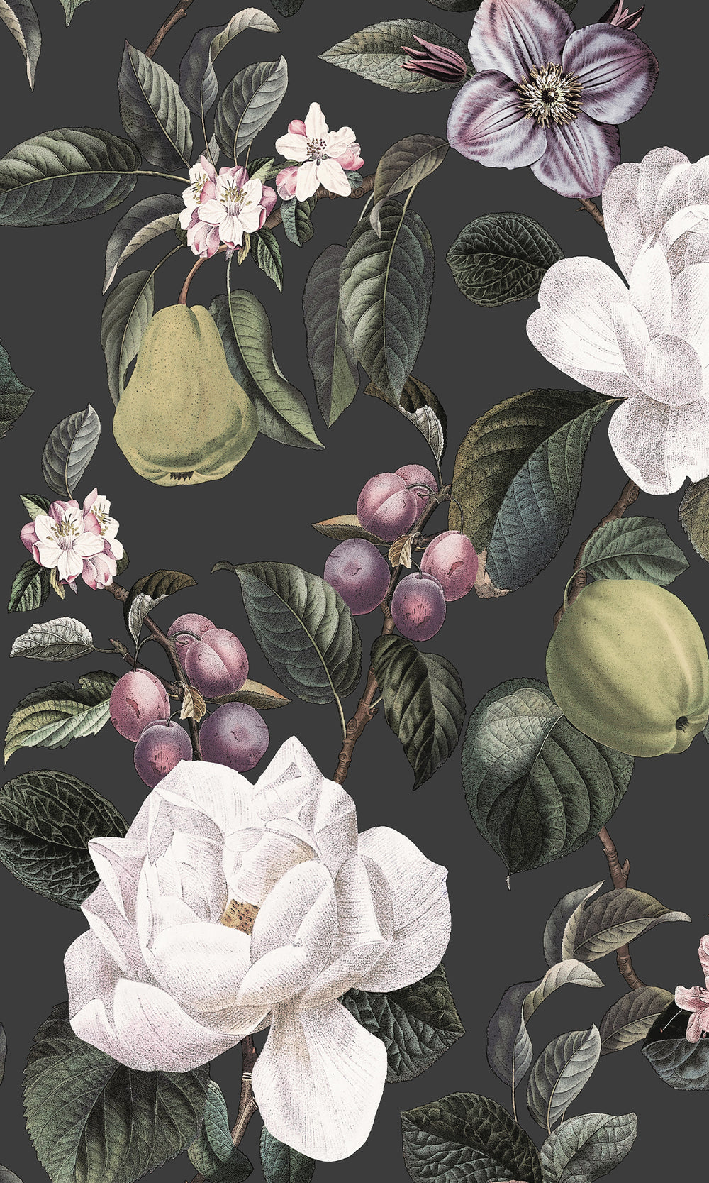 Charcoal Pear & Blossom Elegance Wallpaper R9641