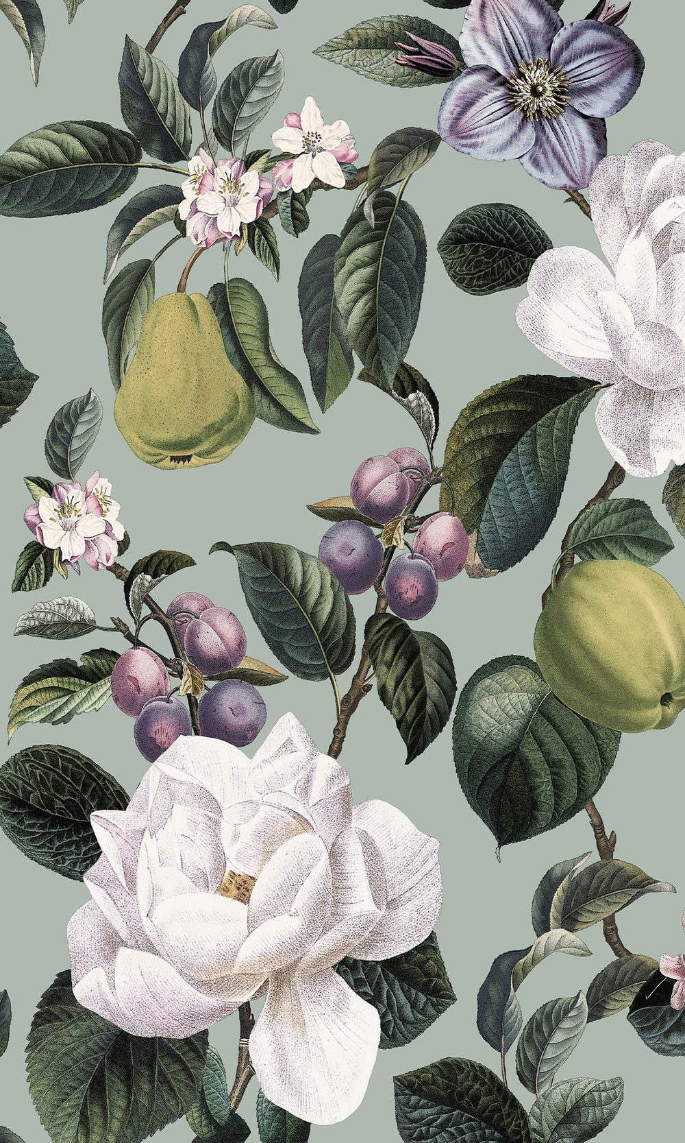 Aqua Pear & Blossom Elegance Wallpaper R9642