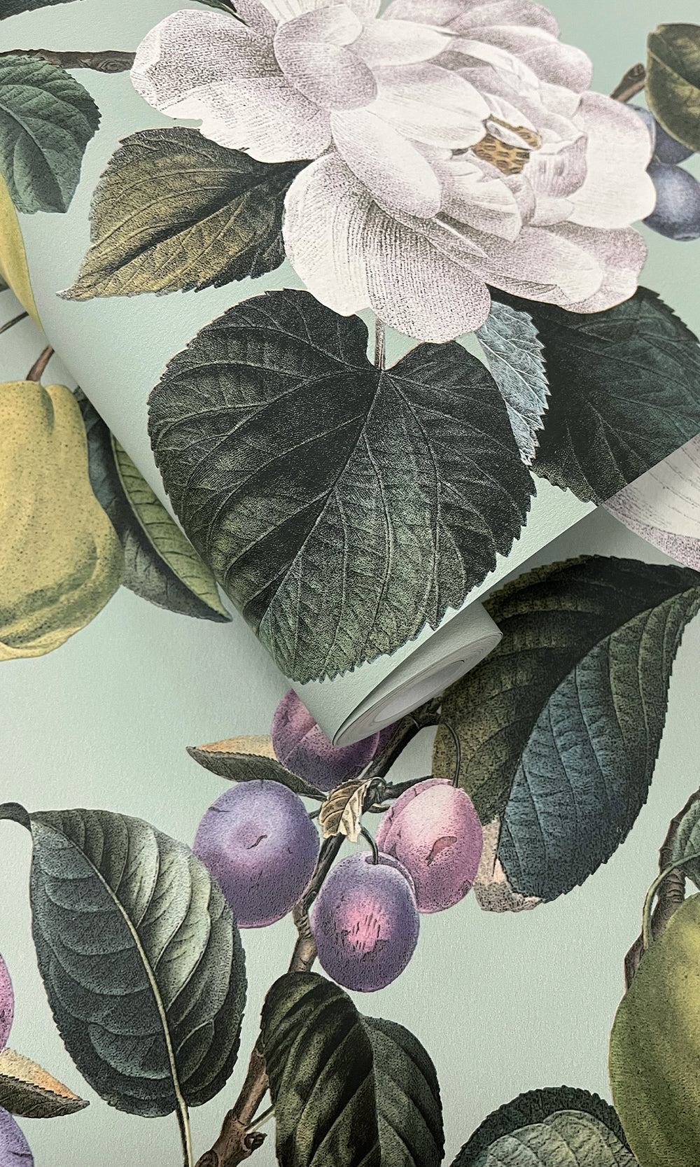 Aqua Pear & Blossom Elegance Wallpaper R9642