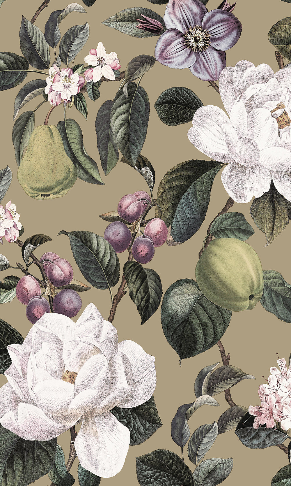 Gilver Pear & Blossom Elegance Wallpaper R9643