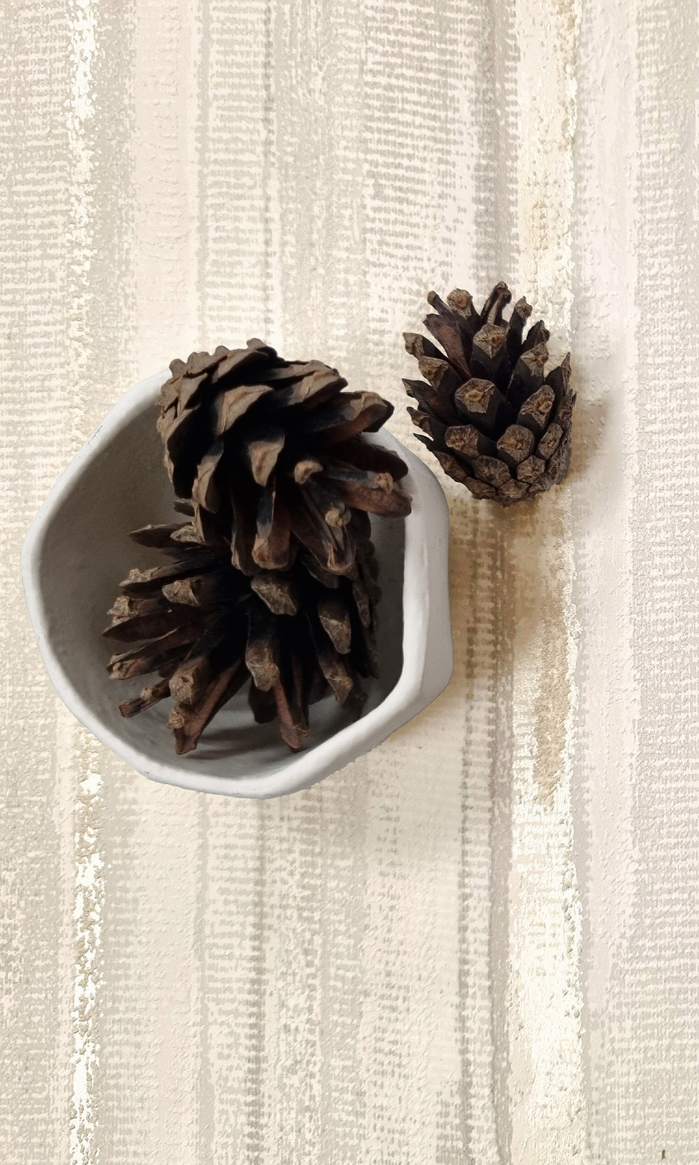 Cream Striking Textured Striped Wallpaper R9717