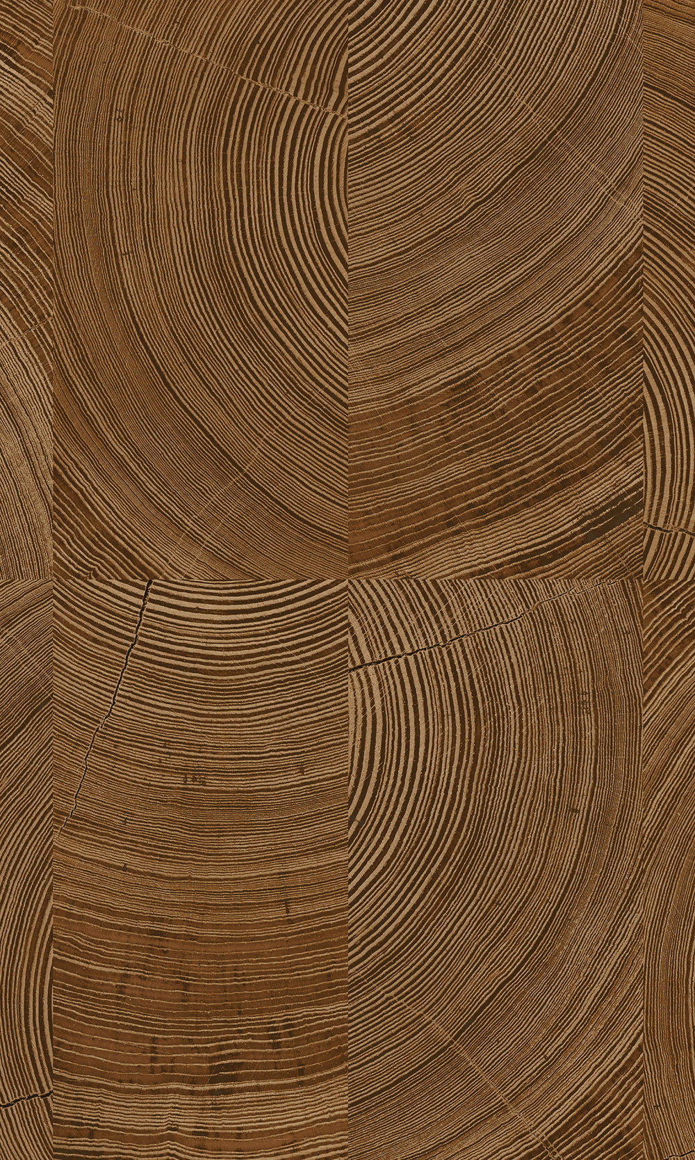 Dallas Collaged Tree Cross Section Wallpaper R9728