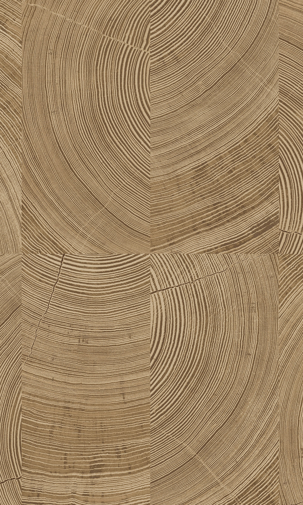 Sandal Collaged Tree Cross Section Wallpaper R9729