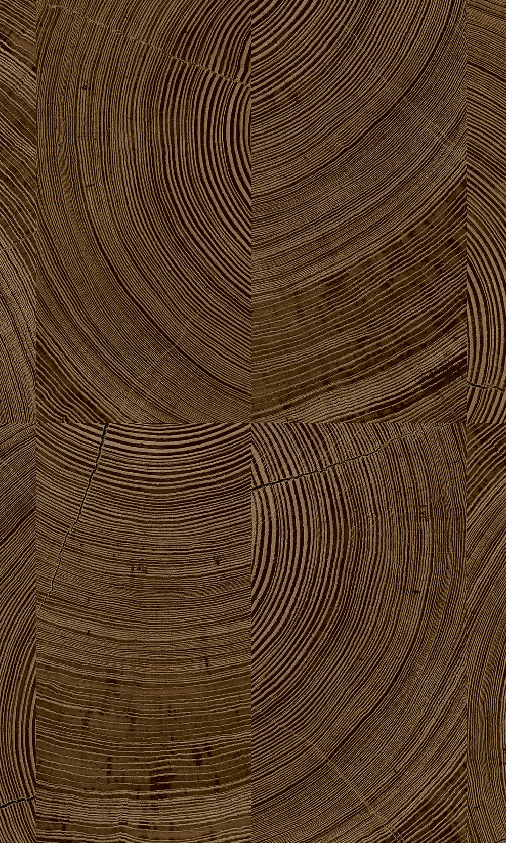 Metallic Bronze Collaged Tree Cross Section Wallpaper R9730