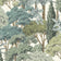 Moss Green (this color)