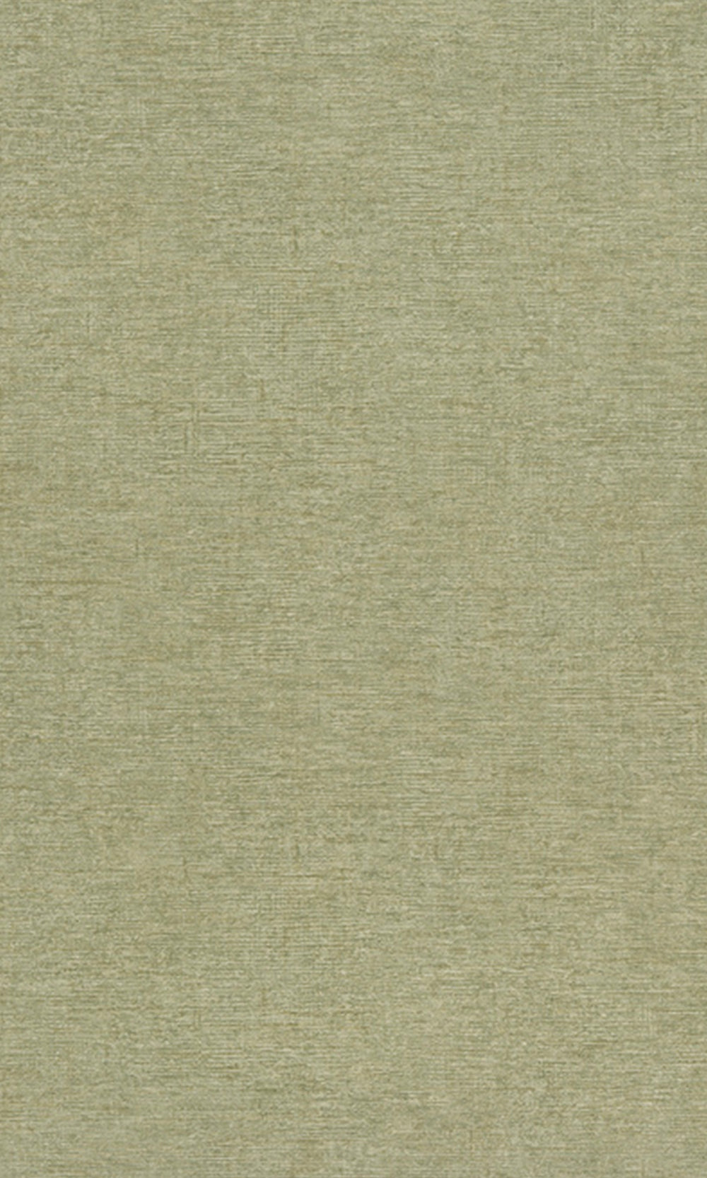 Neutral Green Faux Concrete Wallpaper R9776