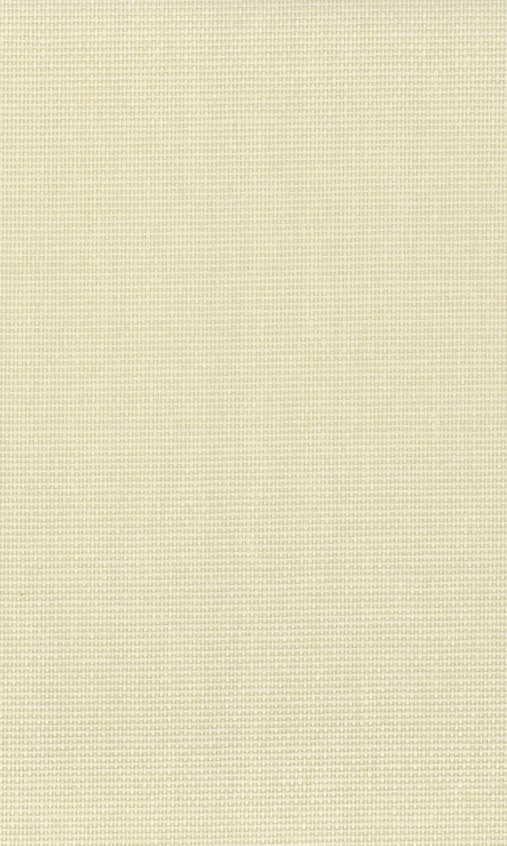 Afghan Hound Paper Art Wallpaper R9863