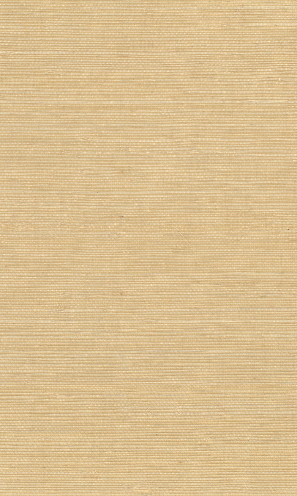 Clumsy Caramel Sisal Weave Wallpaper R9867