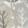 Willow Springs & Bearsuit Grey