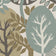Pearl Oyster & Iceberg Green (this color)
