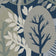 Dily Blue & Lemon Grass
