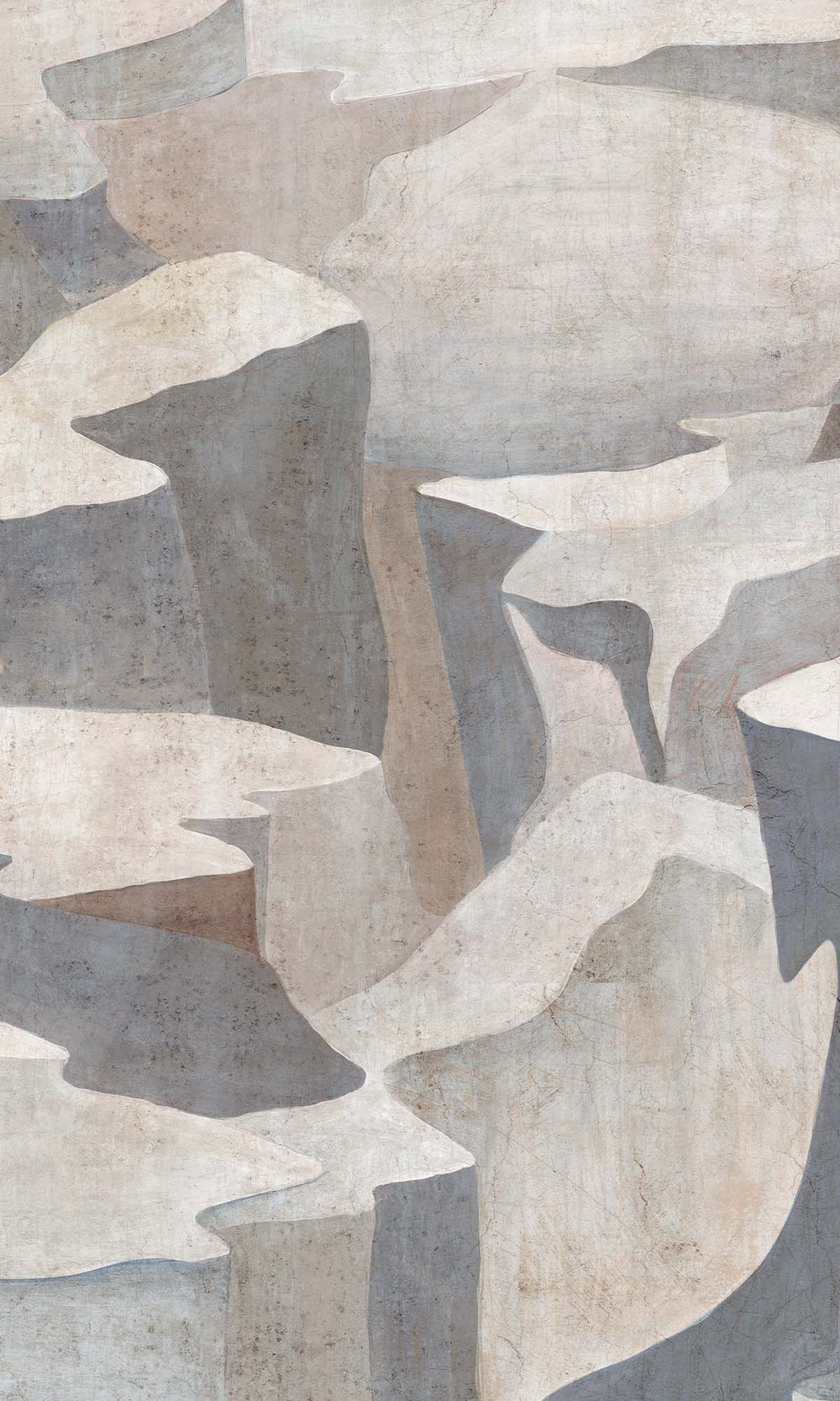 Ice Grey Abstract Coastlines Residential Mural RM9104