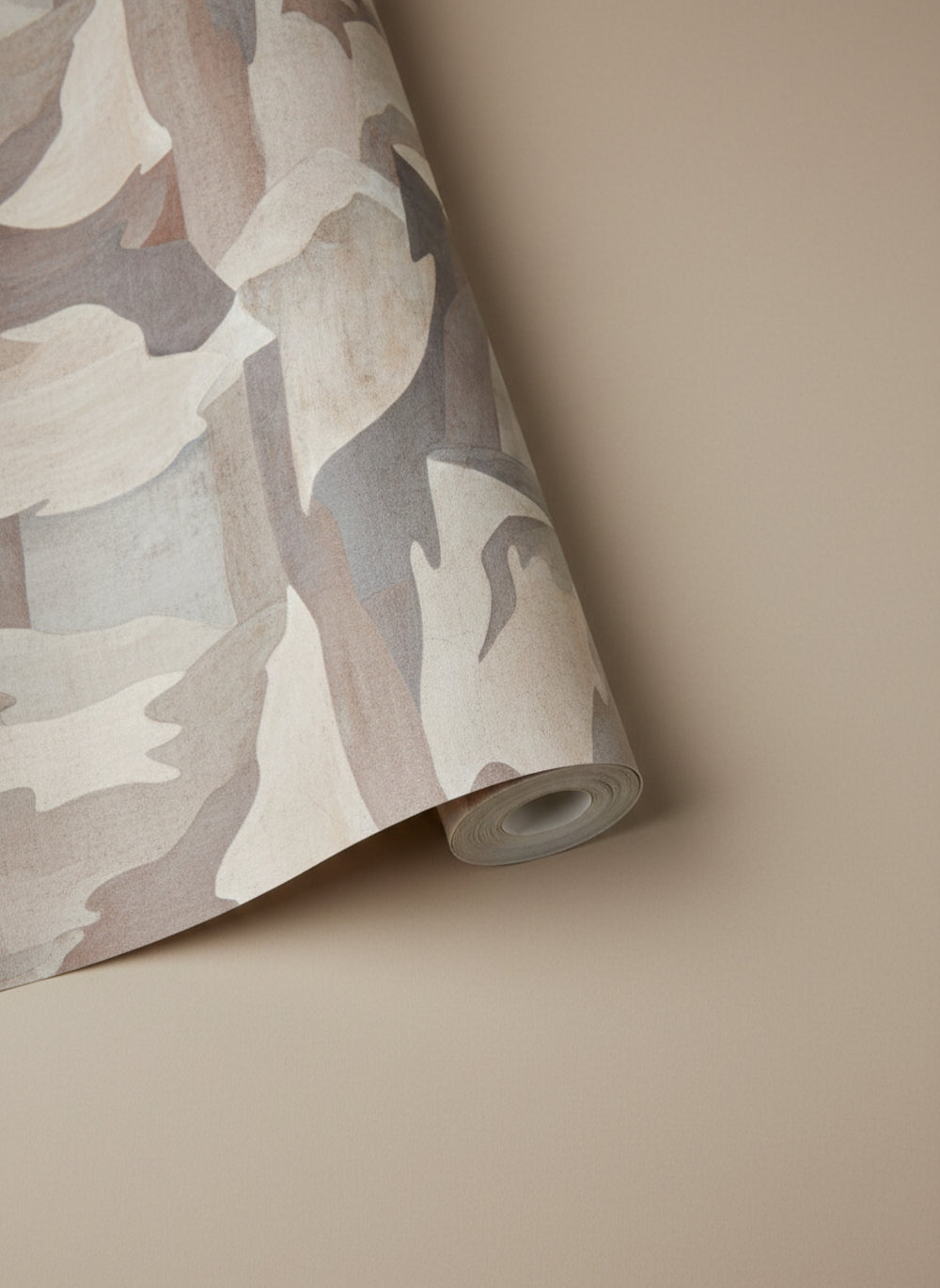Ice Grey Abstract Coastlines Residential Mural RM9104