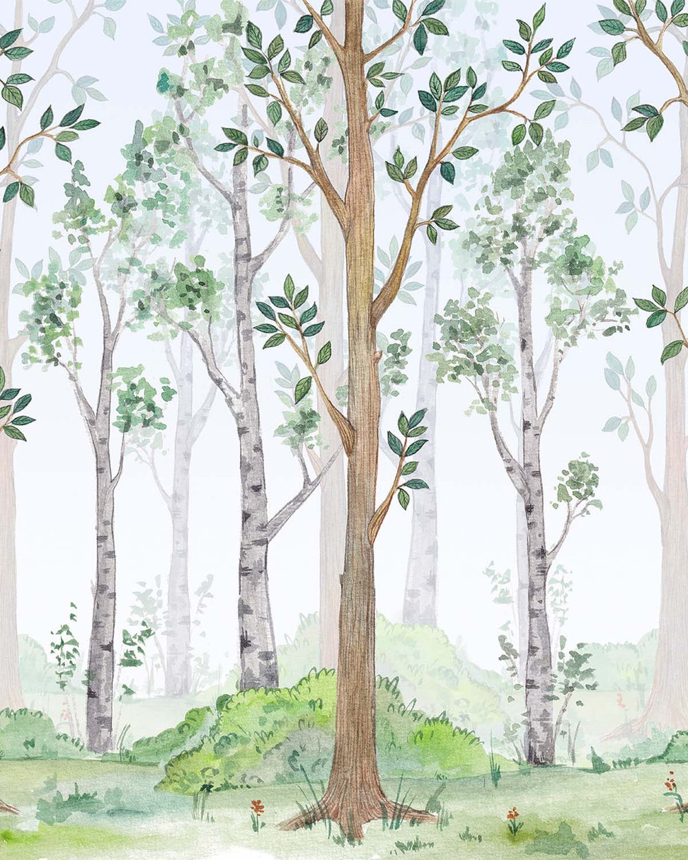 Grassy Meadow Watercolor Woodland Forest Residential Mural RM9158