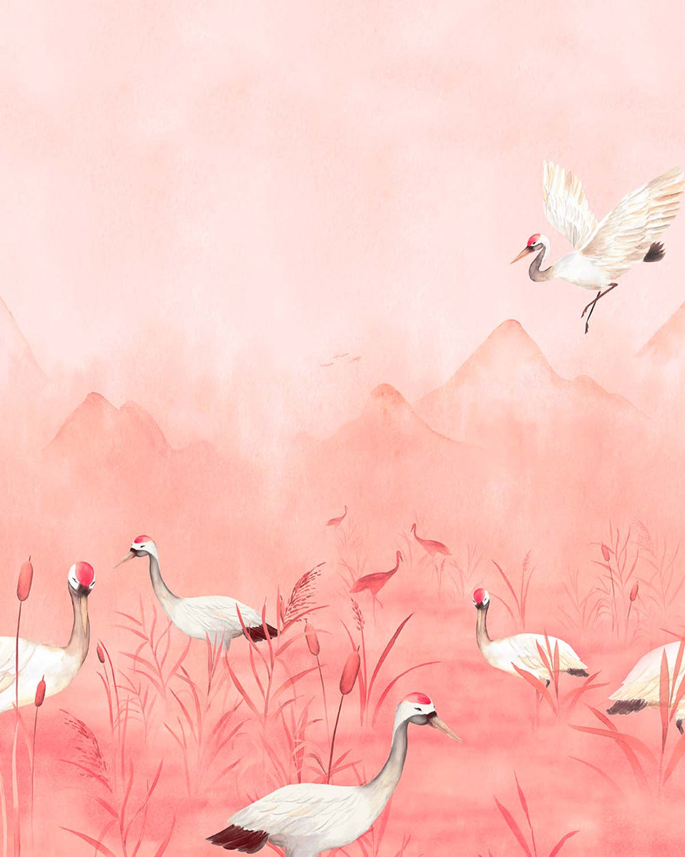 Coral Beach Crane Dance Meadow  Residential Mural RM9205
