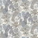 Celestra Grey