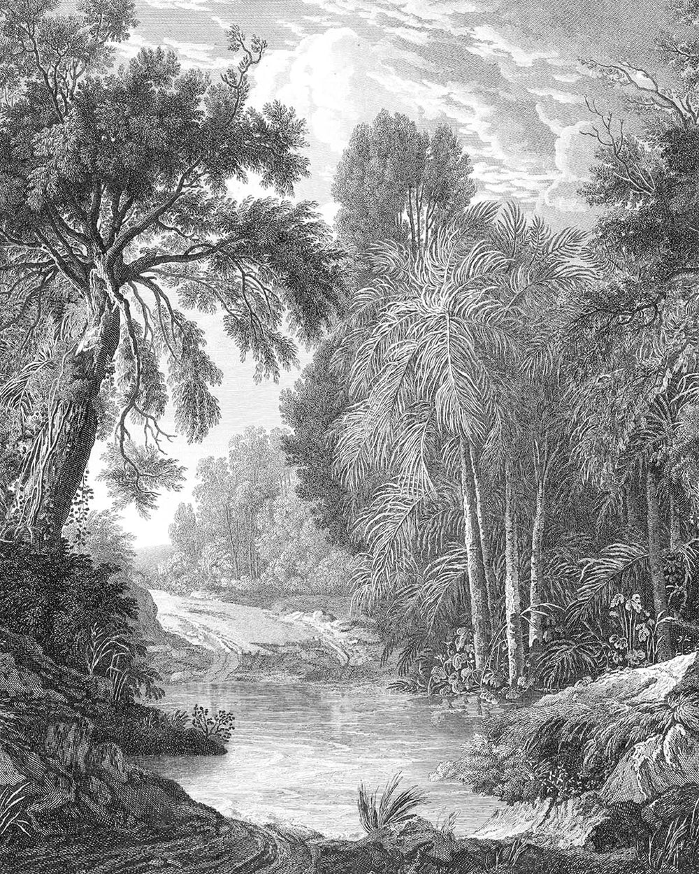 Namara Grey Jungle Riverbank Residential Mural RM9238