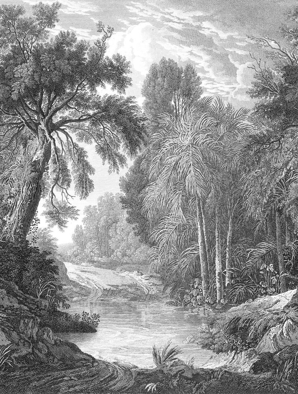 Namara Grey Jungle Riverbank Residential Mural RM9238