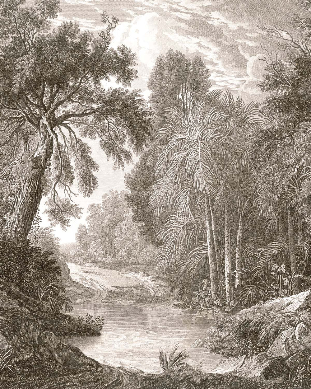 Coral Clay Jungle Riverbank Residential Mural RM9239