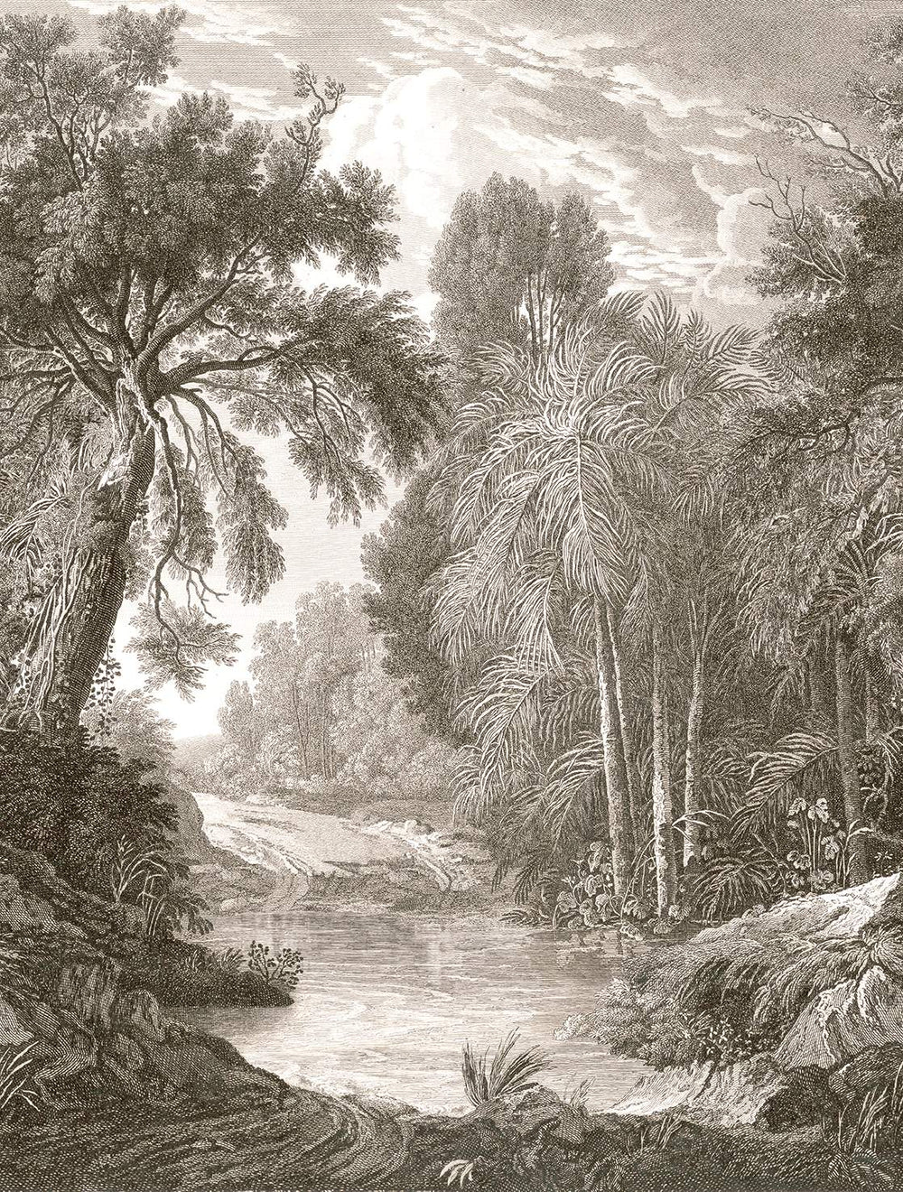 Coral Clay Jungle Riverbank Residential Mural RM9239
