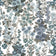 Davy's Grey