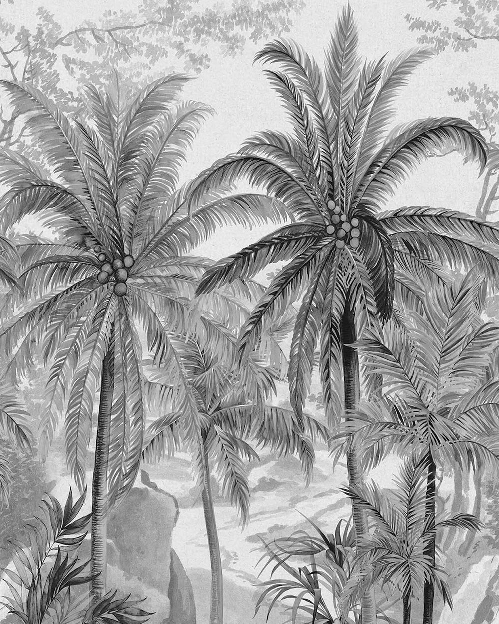 Dover Grey Monochrome Tropical Palm Tree  Wallpaper Panels RM9263