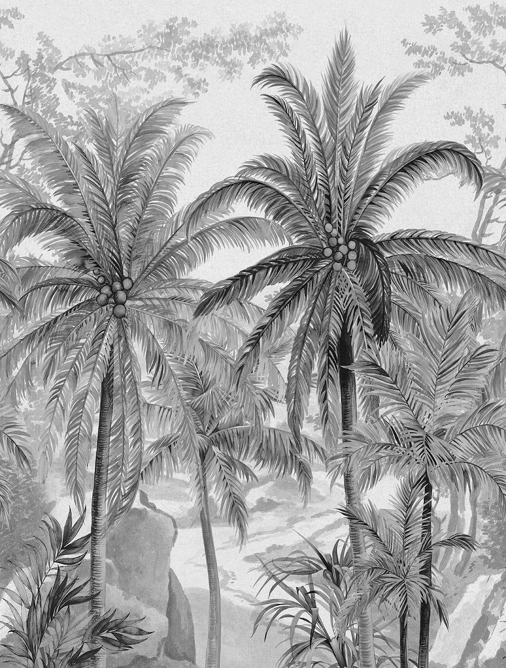 Dover Grey Monochrome Tropical Palm Tree  Wallpaper Panels RM9263