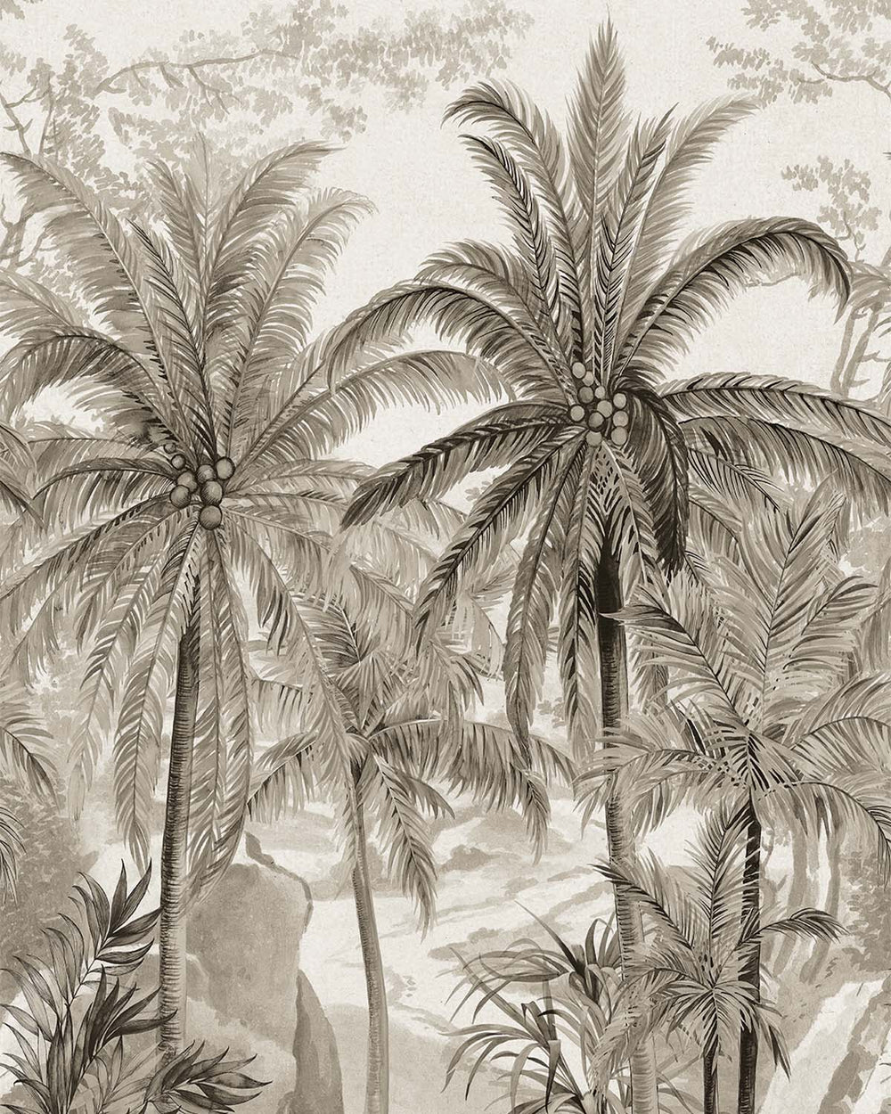 Feather Grey Monochrome Tropical Palm Tree  Residential Mural RM9264