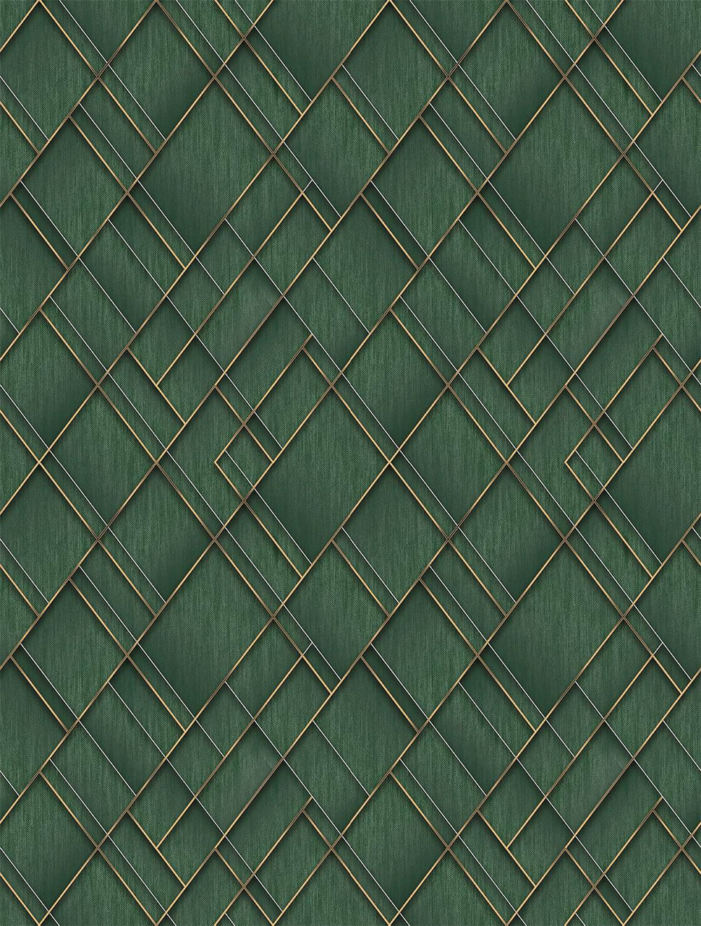 Mushiao Green Modern Geometric Trellis  Residential Mural RM9283