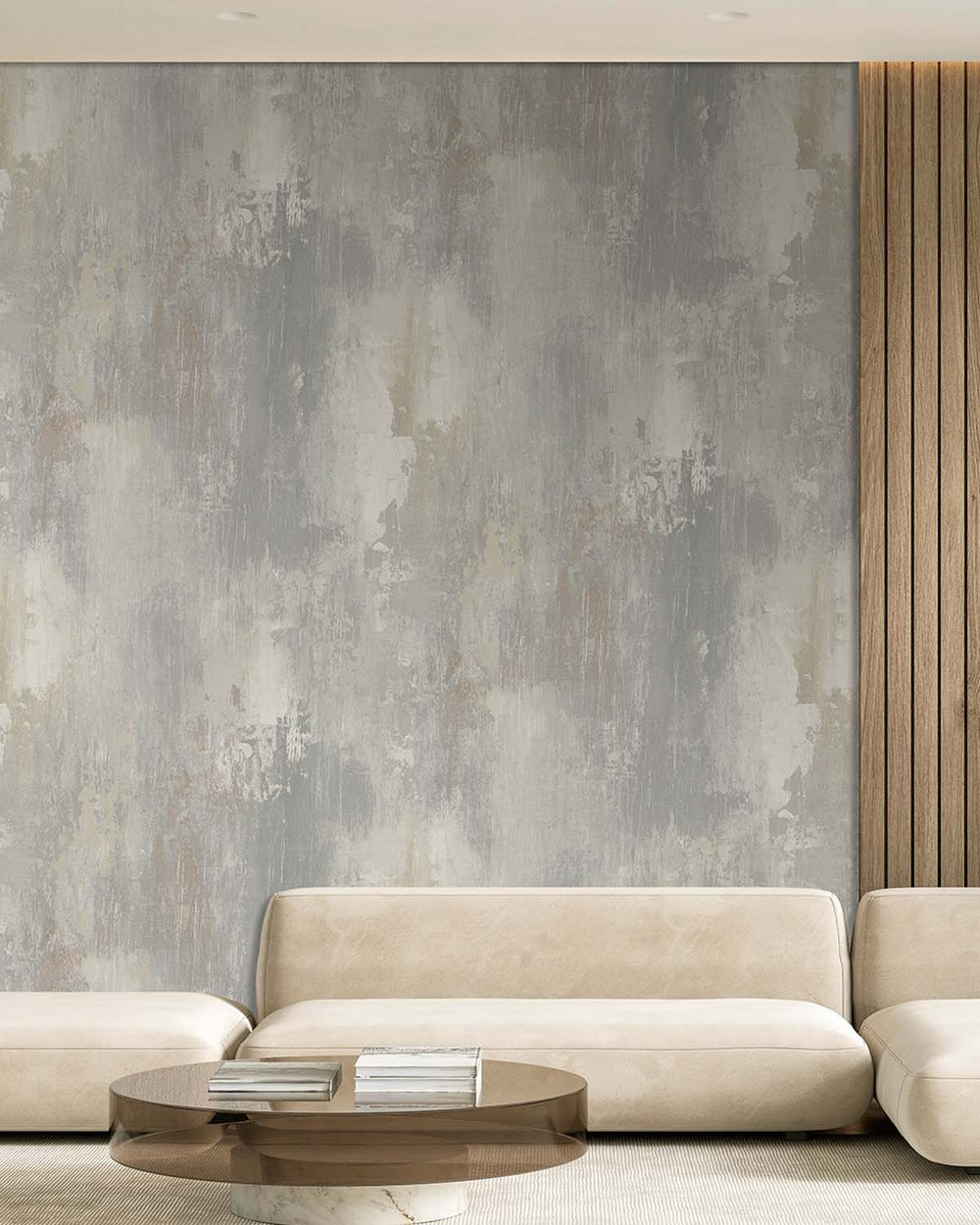 Kamenozoki Grey Distressed Concrete Residential Mural RM9292