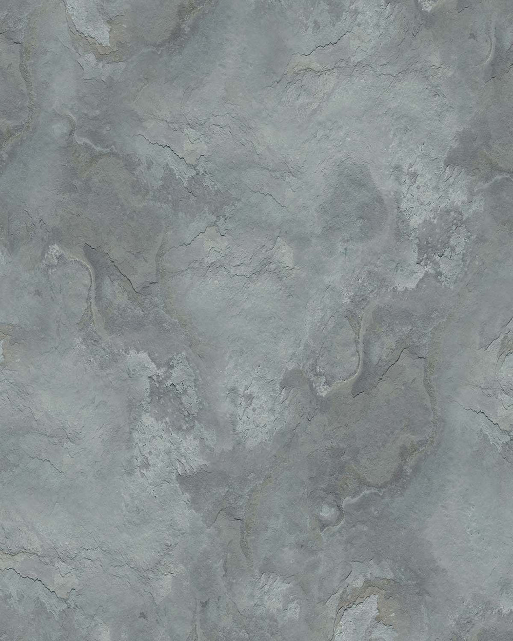 Nevada Gray Stone Distressed Plaster Residential Mural RM9300