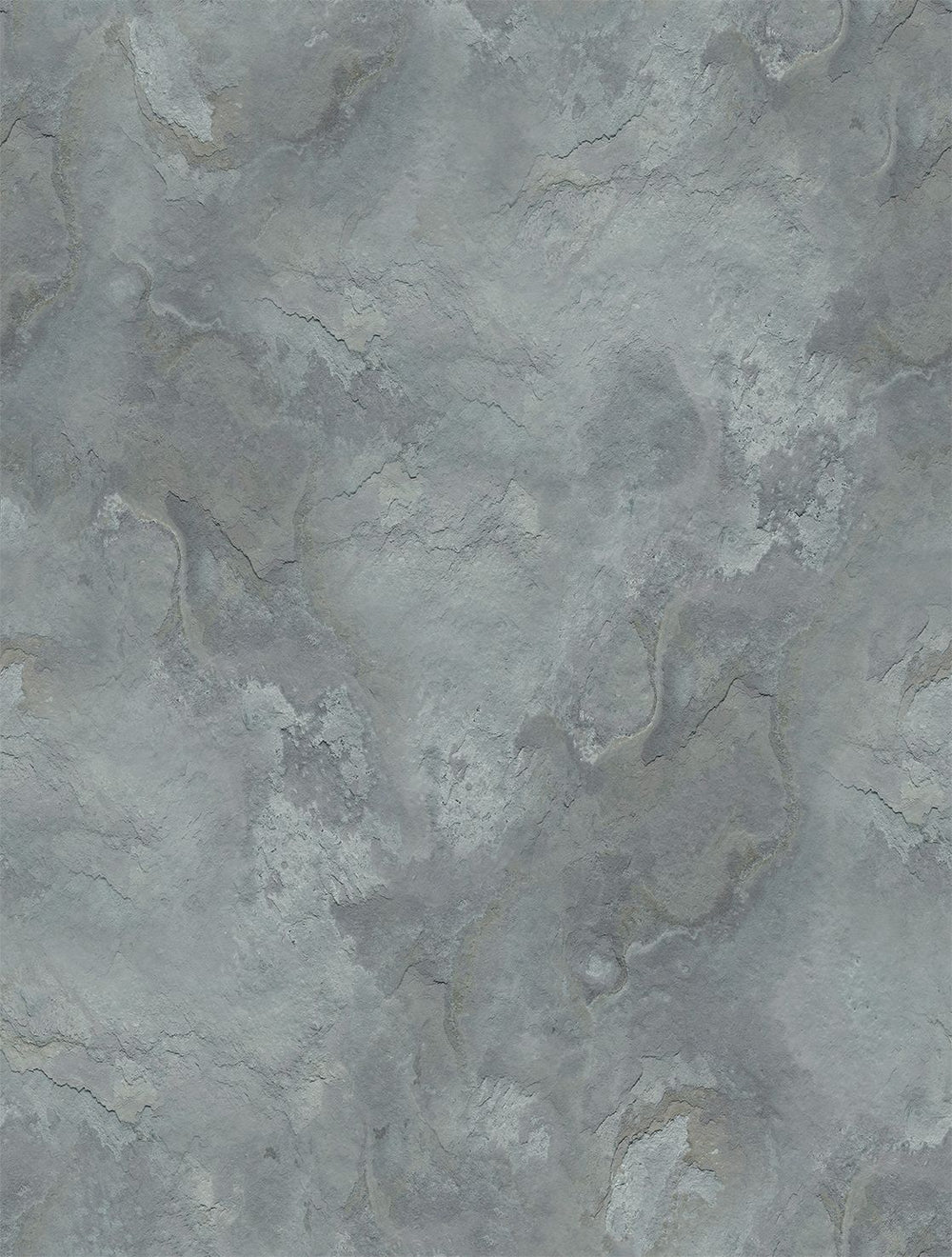 Nevada Gray Stone Distressed Plaster Residential Mural RM9300