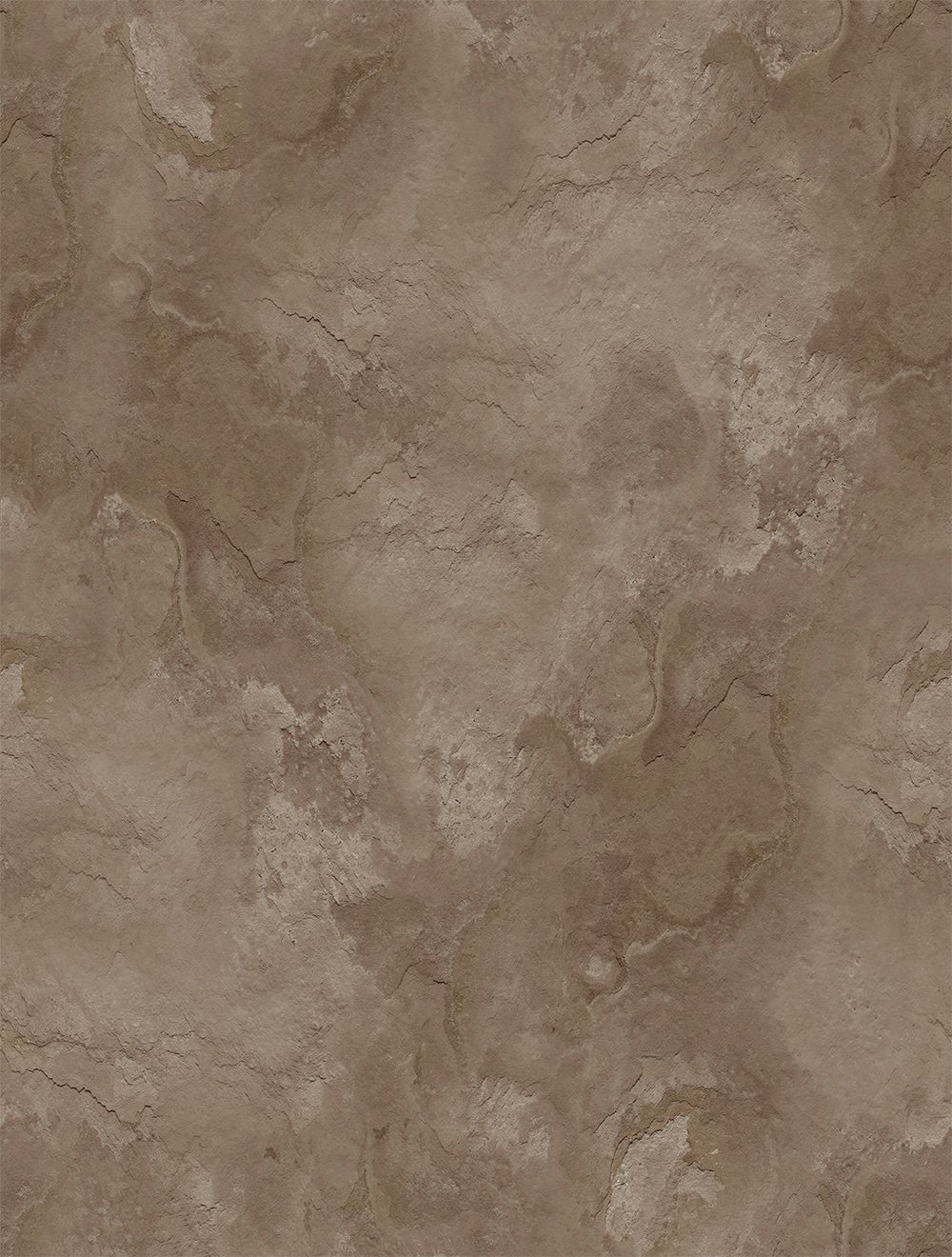 Quincy Brown Stone Distressed Plaster Residential Mural RM9302
