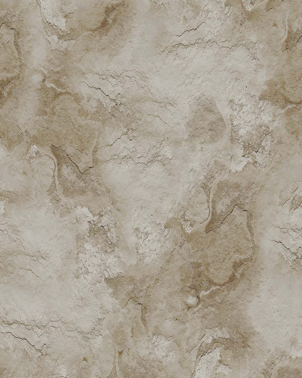 Agate Grey Stone Distressed Plaster Residential Mural RM9304
